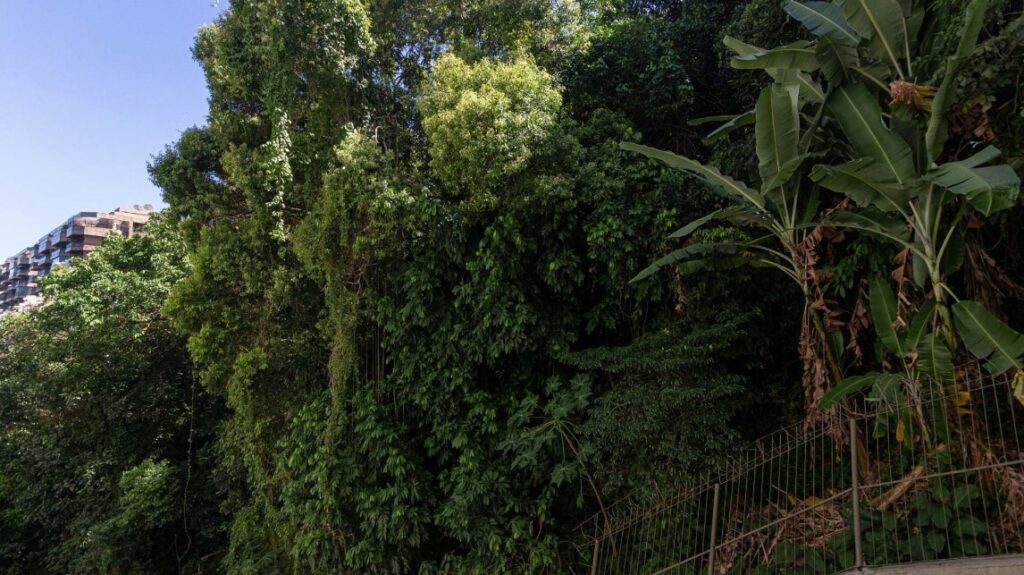 Apartamento com 2 Quartos Lagoa Formosa e Prateada Rio de Janeiro 7