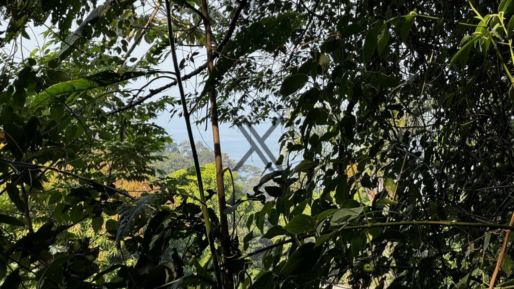 terreno em são conrado rio de janeiro rj 1
