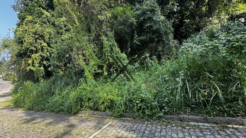terreno em são conrado rio de janeiro rj 7