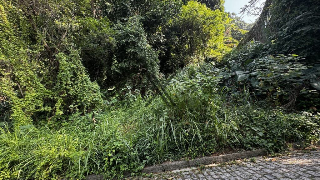 terreno em são conrado rio de janeiro rj 8