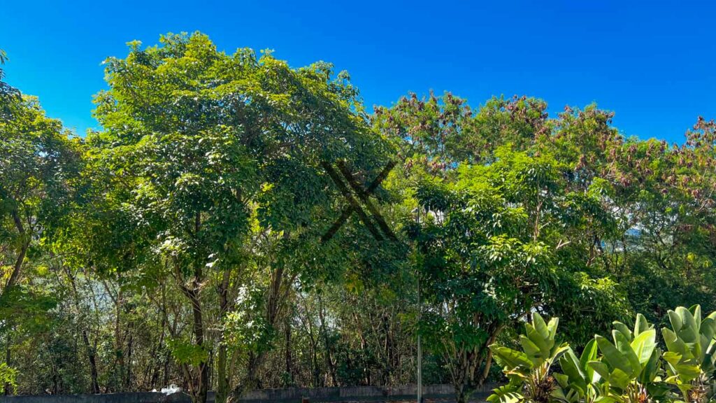 imoveis no le parc barra da tijuca rio de janeiro rj 6