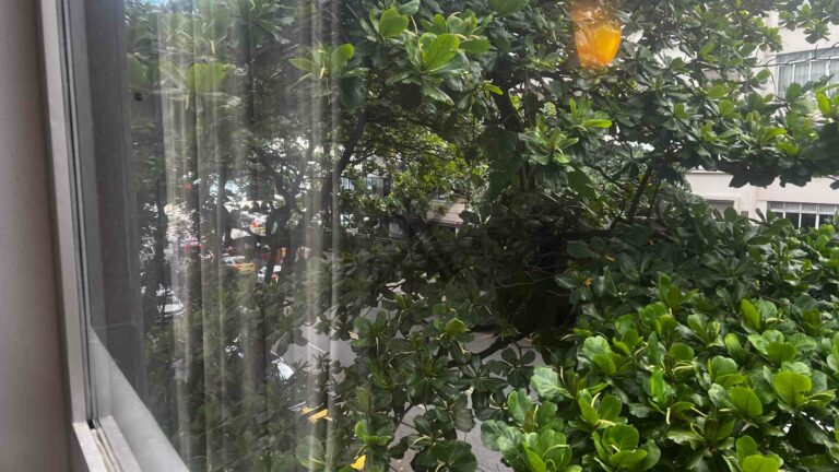 Leblon 4 Quartos — foto 6