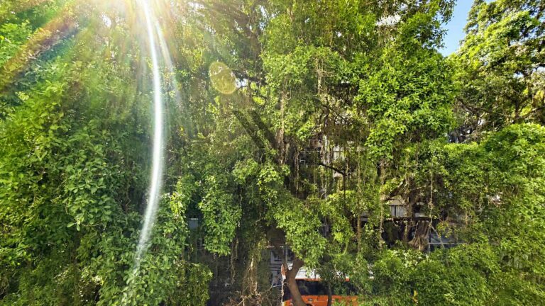 Apartamento em Ipanema com 4 quartos e espaço amplo — foto 4